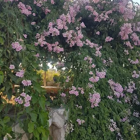 Villa Datca Daki Eviniz Nar. *