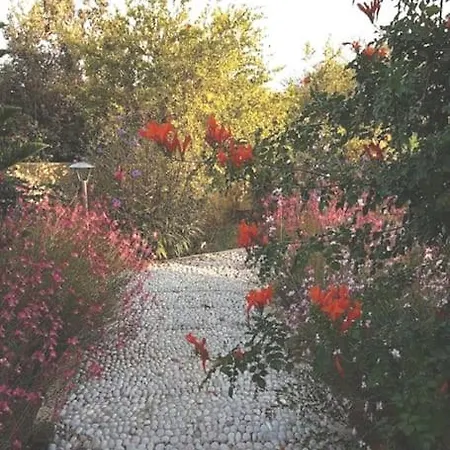 Villa Datca Daki Eviniz Nar.