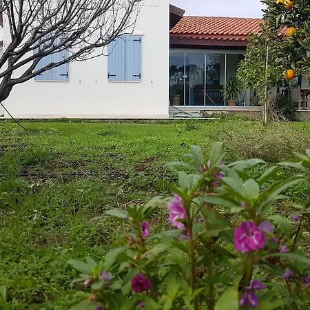 Datça Daki Eviniz Nar. Villa *