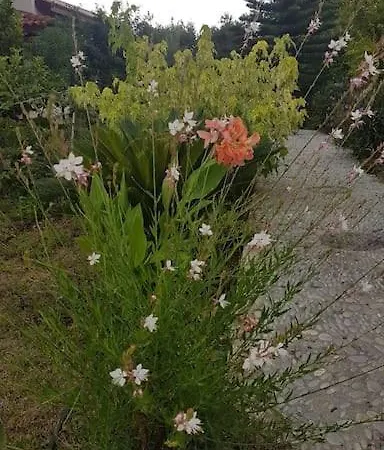 Datça Daki Eviniz Nar.