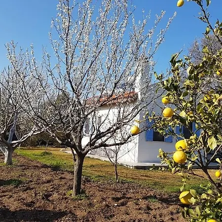 Villa Datça Daki Eviniz Nar.