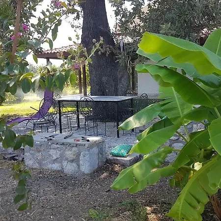Datça Daki Eviniz Nar.