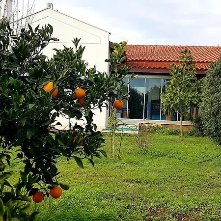 Datça Daki Eviniz Nar.