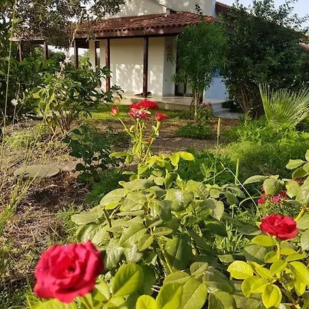 Datça Daki Eviniz Nar. Villa