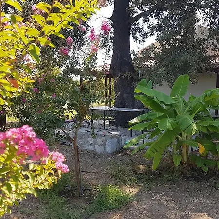 Datça Daki Eviniz Nar. Villa