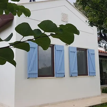 Datça Daki Eviniz Nar.