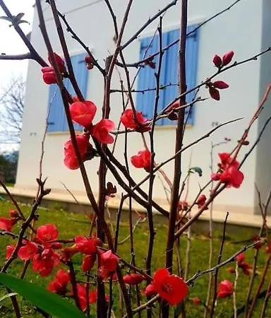 Villa Datça Daki Eviniz Nar. Kızlanköy